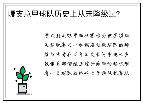 哪支意甲球队历史上从未降级过?